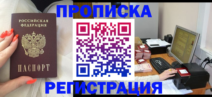где прописаться в Светлогорске